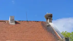 Dwór w Brzeźnicy - zdjęcie 24