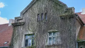 Dwór w Brzeźnicy - zdjęcie 25