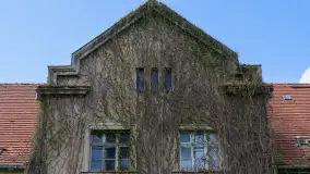 Dwór w Brzeźnicy - zdjęcie 29
