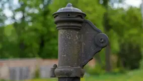 Dwór w Brzeźnicy - zdjęcie 9