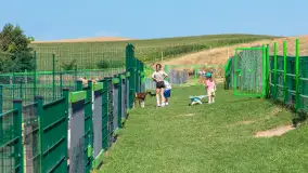 Mini Zoo w Kąpie, setki zwierząt które powinieneś poznać - zdjęcie 16