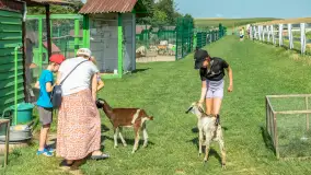 Mini Zoo w Kąpie, setki zwierząt które powinieneś poznać - zdjęcie 33