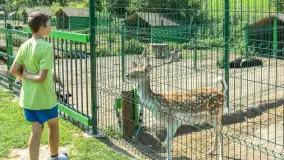 Mini Zoo w Kąpie, setki zwierząt które powinieneś poznać - zdjęcie 14