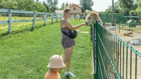Mini Zoo w Kąpie, setki zwierząt które powinieneś poznać - zdjęcie 29