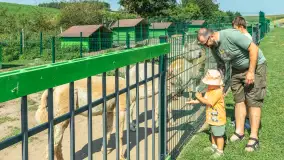 Mini Zoo w Kąpie, setki zwierząt które powinieneś poznać - zdjęcie 8