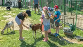 Mini Zoo w Kąpie, setki zwierząt które powinieneś poznać - zdjęcie 26