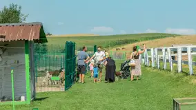 Mini Zoo w Kąpie, setki zwierząt które powinieneś poznać - zdjęcie 22
