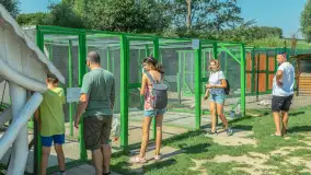 Mini Zoo w Kąpie, setki zwierząt które powinieneś poznać - zdjęcie 3