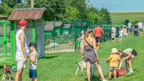 Mini Zoo w Kąpie, setki zwierząt które powinieneś poznać - zdjęcie 24