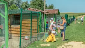 Mini Zoo w Kąpie, setki zwierząt które powinieneś poznać - zdjęcie 46