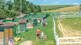 Mini Zoo w Kąpie, setki zwierząt które powinieneś poznać - zdjęcie 56