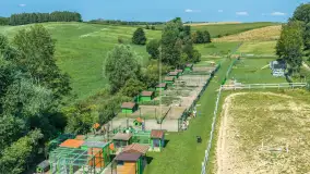 Mini Zoo w Kąpie, setki zwierząt które powinieneś poznać - zdjęcie 64