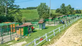 Mini Zoo w Kąpie, setki zwierząt które powinieneś poznać - zdjęcie 43