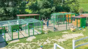 Mini Zoo w Kąpie, setki zwierząt które powinieneś poznać