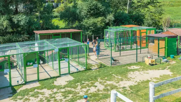 Mini Zoo w Kąpie, setki zwierząt które powinieneś poznać