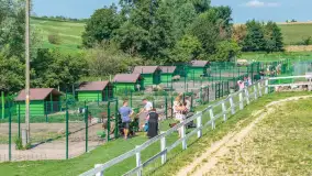 Mini Zoo w Kąpie, setki zwierząt które powinieneś poznać - zdjęcie 35