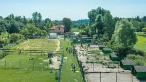 Mini Zoo w Kąpie, setki zwierząt które powinieneś poznać - zdjęcie 54