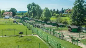 Mini Zoo w Kąpie, setki zwierząt które powinieneś poznać - zdjęcie 62