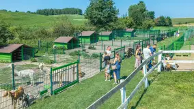 Mini Zoo w Kąpie, setki zwierząt które powinieneś poznać - zdjęcie 5