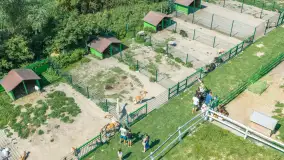Mini Zoo w Kąpie, setki zwierząt które powinieneś poznać - zdjęcie 41