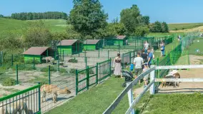 Mini Zoo w Kąpie, setki zwierząt które powinieneś poznać - zdjęcie 51