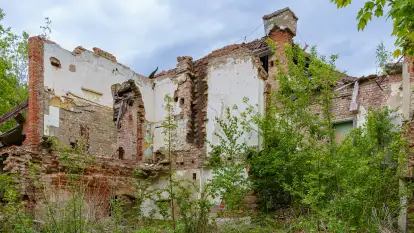 Ruiny pałacu w Wielewie