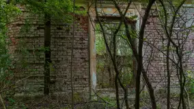 Ruiny pałacu w Wielewie - zdjęcie 9