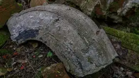 Ruiny pałacu w Wielewie - zdjęcie 22