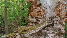 Ruiny pałacu w miejscowości Arklity - zdjęcie 12