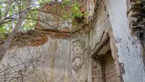 Ruiny pałacu w miejscowości Arklity - zdjęcie 13