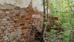 Ruiny pałacu w miejscowości Arklity - zdjęcie 14