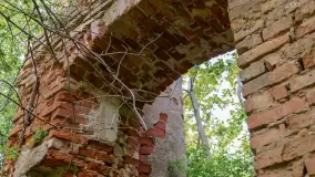 Ruiny pałacu w miejscowości Arklity - zdjęcie 16
