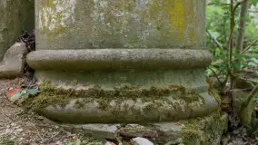 Ruiny pałacu w miejscowości Arklity - zdjęcie 17