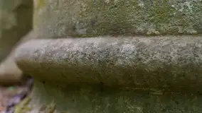Ruiny pałacu w miejscowości Arklity - zdjęcie 11