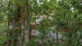 Ruiny pałacu w miejscowości Arklity - zdjęcie 18