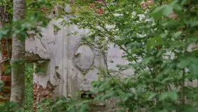 Ruiny pałacu w miejscowości Arklity - zdjęcie 22
