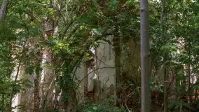 Ruiny pałacu w miejscowości Arklity - zdjęcie 26