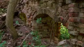Ruiny pałacu w miejscowości Arklity - zdjęcie 21