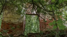 Ruiny pałacu w miejscowości Arklity - zdjęcie 27
