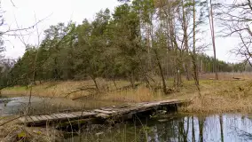 Drewniany most przez Kanał Mazurski - zdjęcie 5