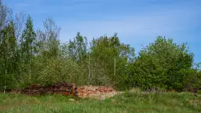 Ruiny XIX-wiecznego dworu w Stachowiźnie - zdjęcie 14