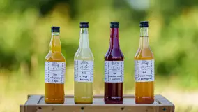 W Mazurskim Gaju - naturalne uprawy, praca i produkty - zdjęcie 11