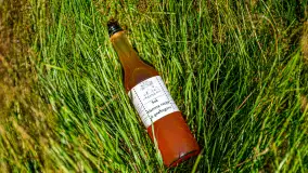 W Mazurskim Gaju - naturalne uprawy, praca i produkty - zdjęcie 10