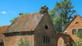 Zabrost Wielki - zdjęcie 14