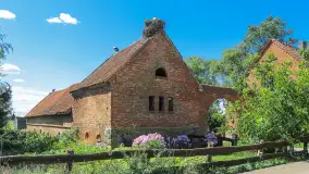 Zabrost Wielki - zdjęcie 11