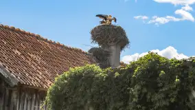 Zabrost Wielki - zdjęcie 3