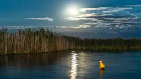 Nocna wersja portu PTTK Wilkasy, sierpień 2026 r. - zdjęcie 15