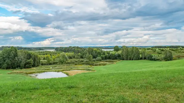 Rezerwat przyrody Oświn - zdjęcie 2
