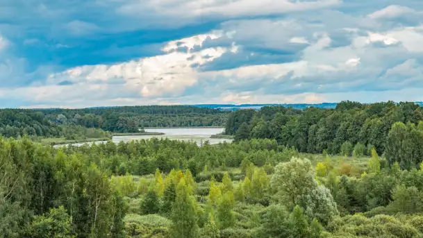 Rezerwat przyrody Oświn - zdjęcie 3