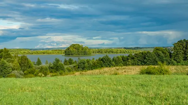 Rezerwat przyrody Oświn - zdjęcie 5